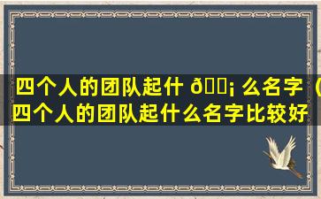 四个人的团队起什 🐡 么名字（四个人的团队起什么名字比较好 🐵 ）